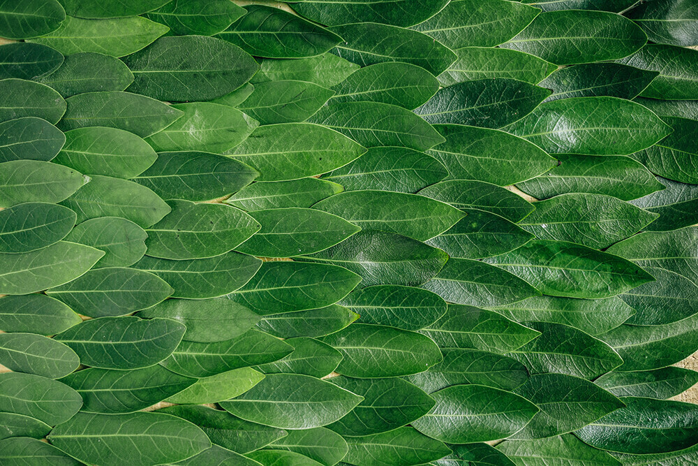 10A. LDC GoGreen project